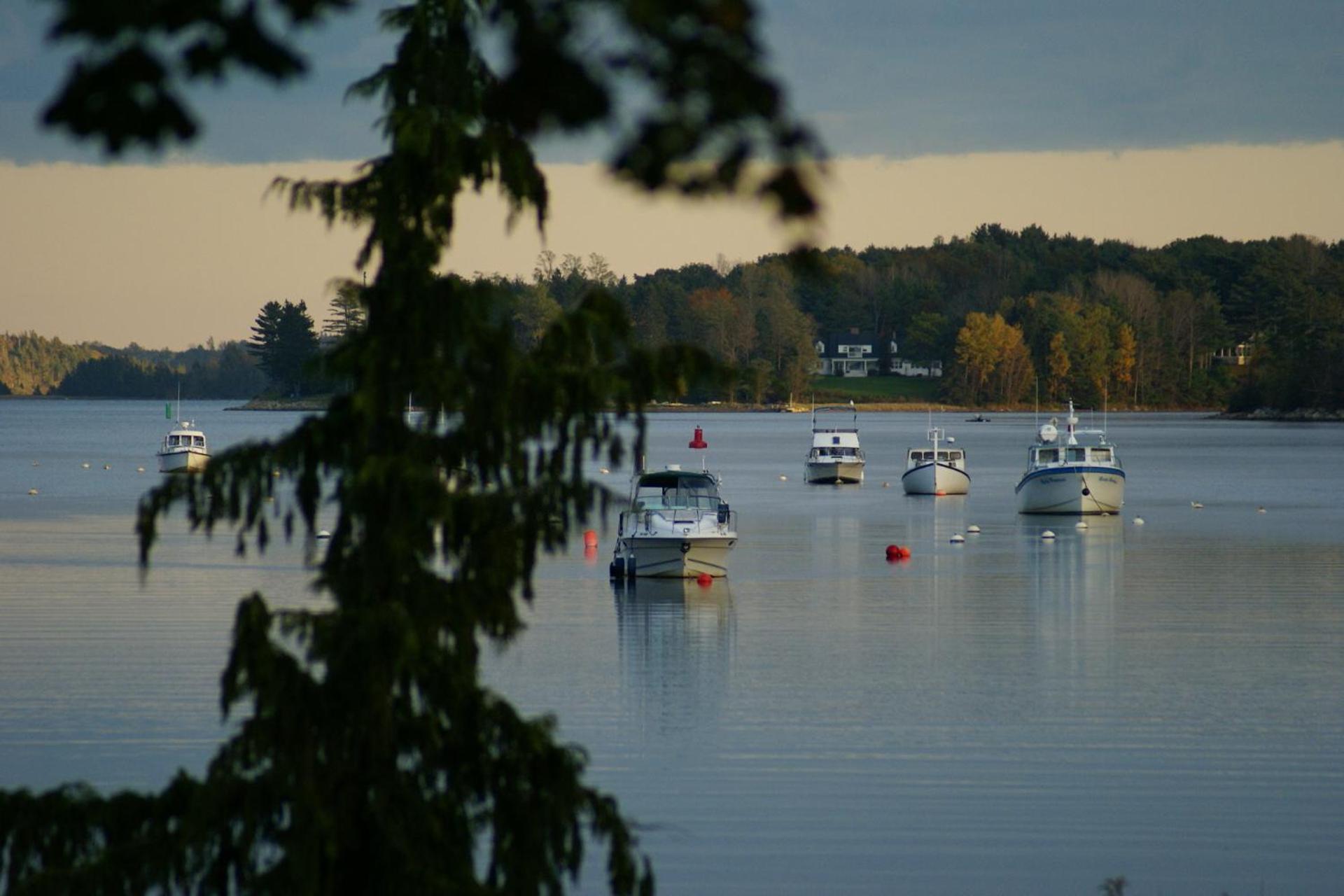 Fisherman'S Daughter B&B Mahone Bay Buitenkant foto
